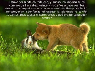 Estuve pensando en todo ello, y bueno, no importa si los
  conozco de hace diez, veinte, cinco años o unos cuantos
meses... Lo importante es que en ese mismo tiempo se ha ido
construyendo la confianza, el respeto, la tolerancia, el cariño.
¿Cuántos años cuesta el construirlos y qué pronto se pueden
                          perder?
 
