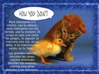 Para manejarte a ti
  mismo, usa la cabeza;
 para manejarte con los
demás, usa tu corazón. El
 enojo es solo una carta
 de peligro. Si alguien te
 traiciona una vez, es su
 falta; si te traiciona dos
    veces, es tu falta...
  Las grandes mentes
   discuten las ideas;
   mentes promedio
 discuten los eventos;
   mentes pequeñas
discuten a las personas.
 