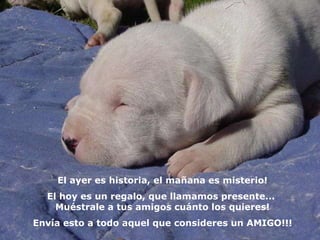 El ayer es historia, el mañana es misterio!
  El hoy es un regalo, que llamamos presente...
    Muéstrale a tus amigos cuánto los quieres!
Envía esto a todo aquel que consideres un AMIGO!!!
 