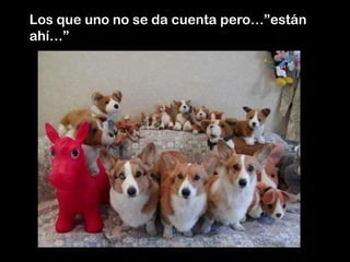 Los que uno no se da cuenta pero…”están
ahí…”
 