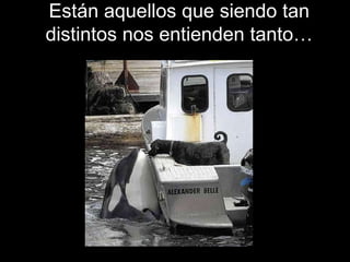 Están aquellos que siendo tan
distintos nos entienden tanto…
 