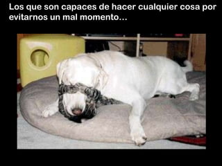 Los que son capaces de hacer cualquier cosa por
evitarnos un mal momento…
 