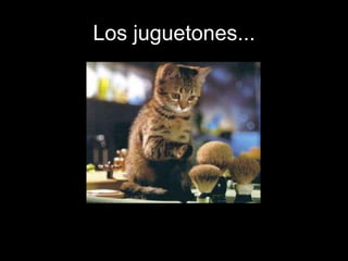 Los juguetones...
 