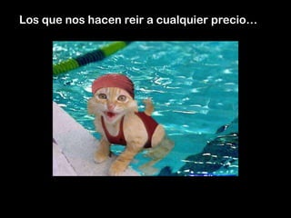 Los que nos hacen reir a cualquier precio…
 