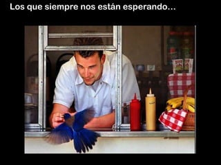 Los que siempre nos están esperando…
 