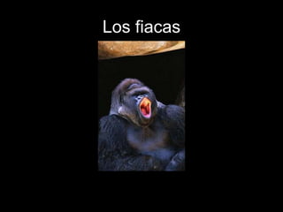 Los fiacas
 