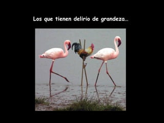 Los que tienen delirio de grandeza… 