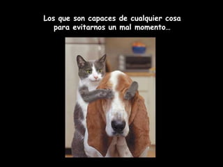 Los que son capaces de cualquier cosa para evitarnos un mal momento… 