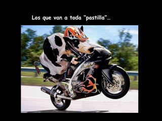 Los que van a toda “pastilla”… 