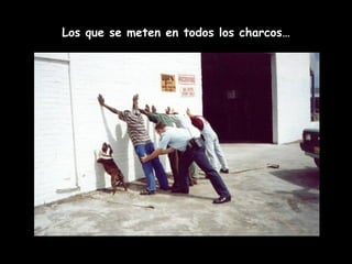 Los que se meten en todos los charcos… 