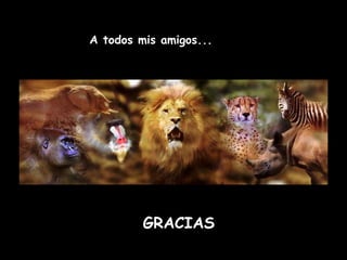 A todos mis amigos... GRACIAS 