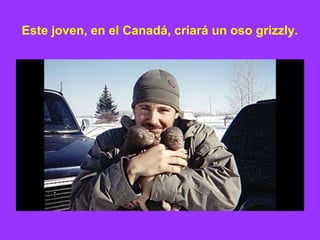 Este joven, en el Canadá, criará un oso grizzly. 