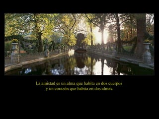 La amistad es un alma que habita en dos cuerpos  y un corazón que habita en dos almas. 