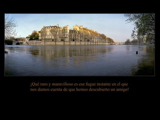 ¡Qué raro y maravilloso es ese fugaz instante en el que  nos damos cuenta de que hemos descubierto un amigo! 