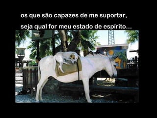 os que são capazes de me suportar,  seja qual for meu estado de espírito… 