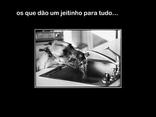 os que dão um jeitinho para tudo… 