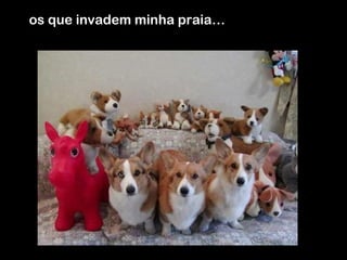 os que invadem minha praia… 