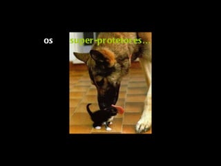 os   super-protetores … 