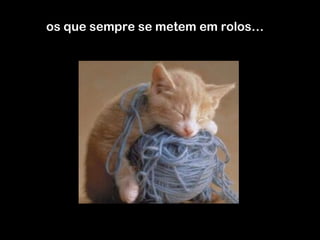 os que sempre se metem em rolos… 