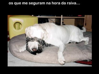 os que me seguram na hora da raiva… 