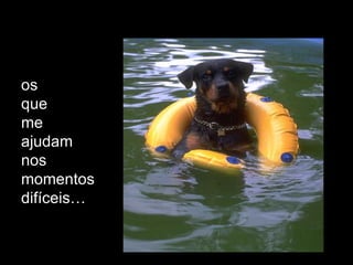 os  que  me  ajudam  nos momentos difíceis… 