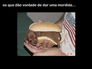 os que dão vontade de dar uma mordida… 