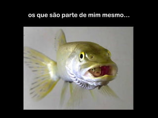 os que são parte de mim mesmo… 