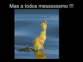 Mas a todos messssssmo !!! 