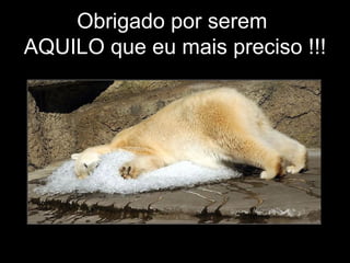 Obrigado por serem  AQUILO que eu mais preciso !!! 