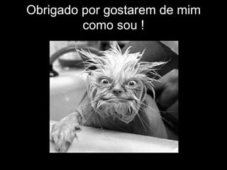 Obrigado por gostarem de mim como sou ! 