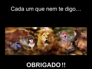 Cada um que nem te digo… OBRIGADO   !! 