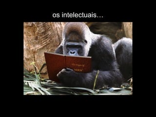 os intelectuais… 