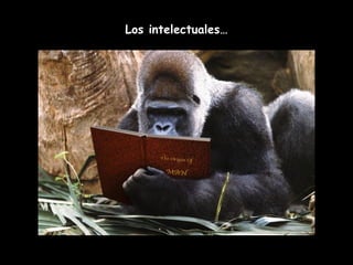 Los intelectuales… 
 