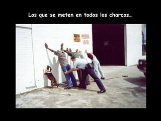 Los que se meten en todos los charcos… 
 