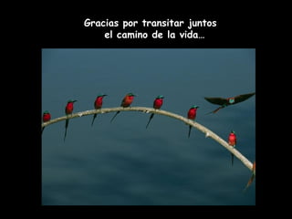 Gracias por transitar juntos 
el camino de la vida… 
 