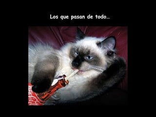 Los que pasan de todo… 
 