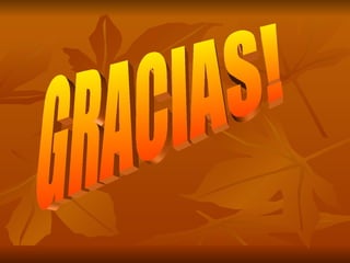 GRACIAS! 