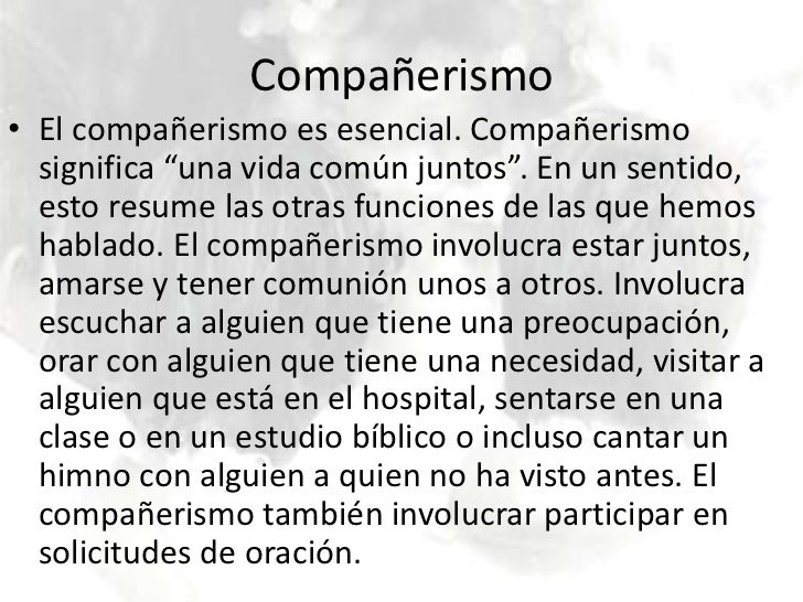Amistad Y Compa erismo amistad-y-compa-erismo