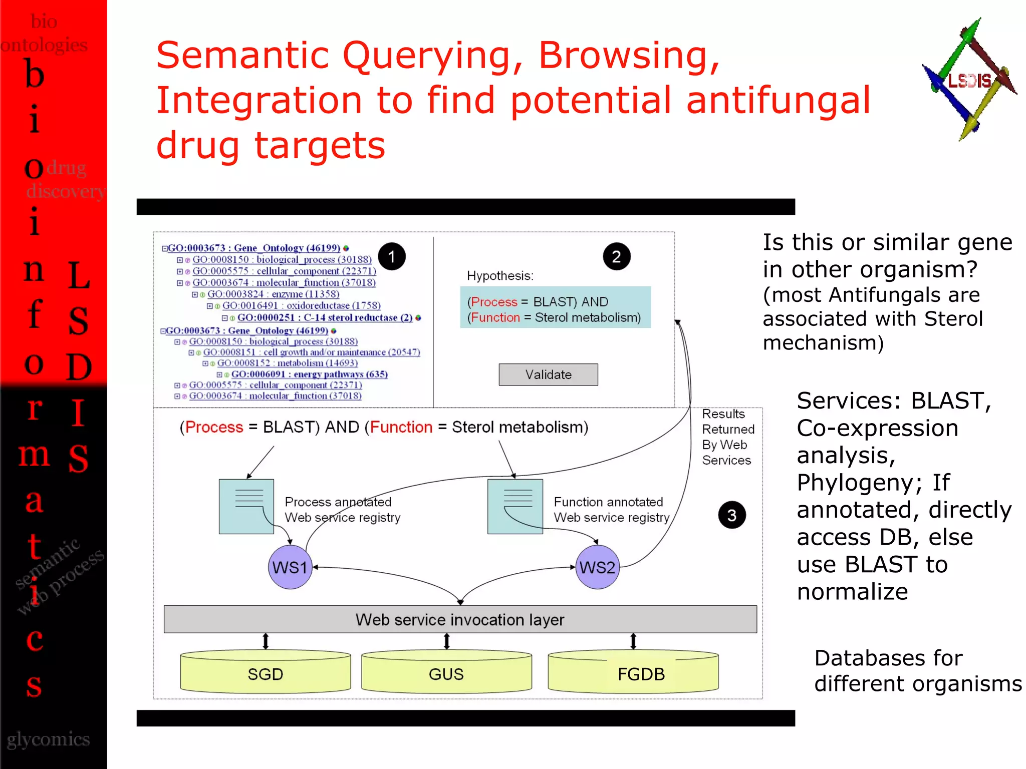 Semantic Querying, Browsing, Integration to find potential antifungal drug targets  Databases for different organisms Is this or similar gene in other organism?  (most Antifungals are associated with Sterol mechanism ) Services: BLAST, Co-expression analysis, Phylogeny; If annotated, directly access DB, else use BLAST to normalize FGDB 
