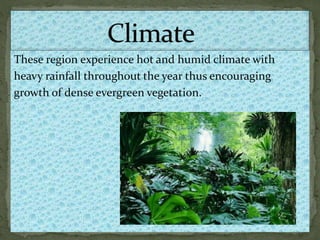 These region experience hot and humid climate with
heavy rainfall throughout the year thus encouraging
growth of dense evergreen vegetation.
 