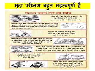 िृदध परीिण बहुत िहत्िपूणण है
 