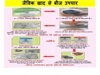 जैविक खधद िे बीज उपचधर
 