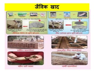 जैविक खधद
 