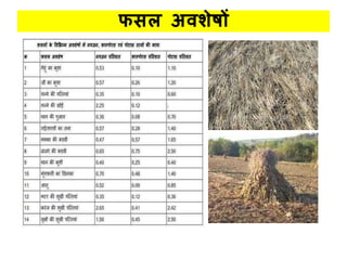 फिल अिशेषों
 