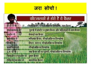 जरध िोचो !
 