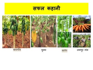 िफल कहधनी
जयापुर गाांवचुनार
 