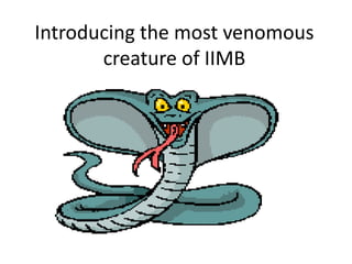 Introducing the most venomous
       creature of IIMB
 