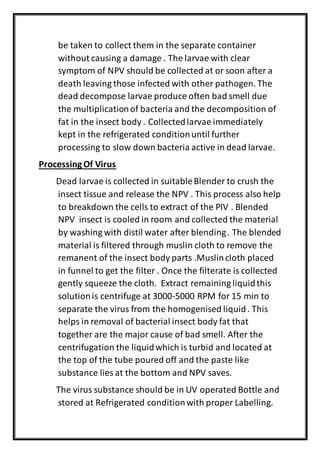 be taken to collect them in the separate container
without causing a damage . The larvae with clear
symptom of NPV should be collected at or soon after a
death leaving those infected with other pathogen. The
dead decompose larvae produce often bad smell due
the multiplicationof bacteria and the decomposition of
fat in the insect body . Collectedlarvae immediately
kept in the refrigerated conditionuntil further
processing to slow down bacteria active in dead larvae.
ProcessingOf Virus
Dead larvae is collected in suitableBlender to crush the
insect tissue and release the NPV . This process also help
to breakdown the cells to extract of the PIV . Blended
NPV insect is cooled in room and collected the material
by washing with distil water after blending. The blended
material is filtered through muslin cloth to remove the
remanent of the insect body parts .Muslincloth placed
in funnel to get the filter . Once the filterate is collected
gently squeeze the cloth. Extract remaining liquidthis
solutionis centrifuge at 3000-5000 RPM for 15 min to
separate the virus from the homogenised liquid. This
helps in removal of bacterial insect body fat that
together are the major cause of bad smell. After the
centrifugation the liquidwhich is turbid and located at
the top of the tube poured off and the paste like
substance lies at the bottom and NPV saves.
The virus substance should be in UV operated Bottle and
stored at Refrigerated conditionwith proper Labelling.
 
