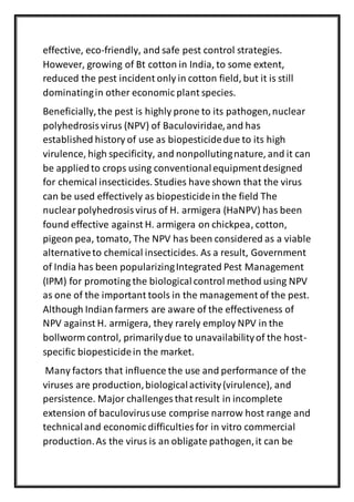 effective, eco-friendly, and safe pest control strategies.
However, growing of Bt cotton in India, to some extent,
reduced the pest incident only in cotton field, but it is still
dominatingin other economic plant species.
Beneficially,the pest is highly prone to its pathogen,nuclear
polyhedrosisvirus (NPV) of Baculoviridae,and has
established history of use as biopesticidedue to its high
virulence, high specificity, and nonpollutingnature, and it can
be appliedto crops using conventionalequipmentdesigned
for chemical insecticides. Studies have shown that the virus
can be used effectively as biopesticidein the field The
nuclearpolyhedrosisvirus of H. armigera (HaNPV) has been
found effective against H. armigera on chickpea, cotton,
pigeon pea, tomato, The NPV has been considered as a viable
alternativeto chemical insecticides. As a result, Government
of India has been popularizingIntegrated Pest Management
(IPM) for promoting the biologicalcontrol method using NPV
as one of the important tools in the management of the pest.
Although Indian farmers are aware of the effectiveness of
NPV against H. armigera, they rarely employ NPV in the
bollworm control, primarilydue to unavailabilityof the host-
specific biopesticidein the market.
Many factors that influence the use and performance of the
viruses are production,biologicalactivity(virulence), and
persistence. Major challenges that result in incomplete
extension of baculovirususe comprise narrow host range and
technicaland economic difficulties for in vitro commercial
production.As the virus is an obligate pathogen,it can be
 