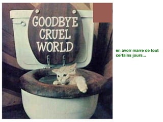 en avoir marre de tout certains jours...   